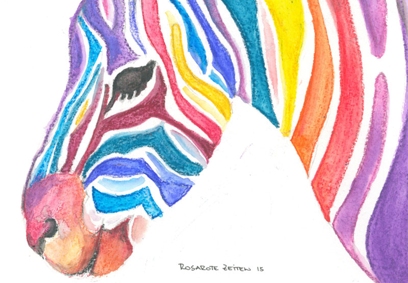 Zebra